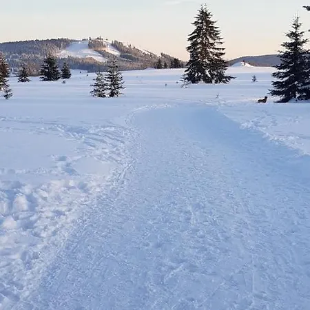 Abertham - Ellen Penzion 3*