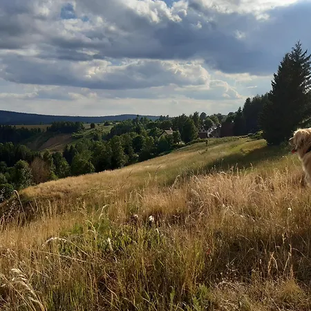 Abertham - Ellen Abertamy